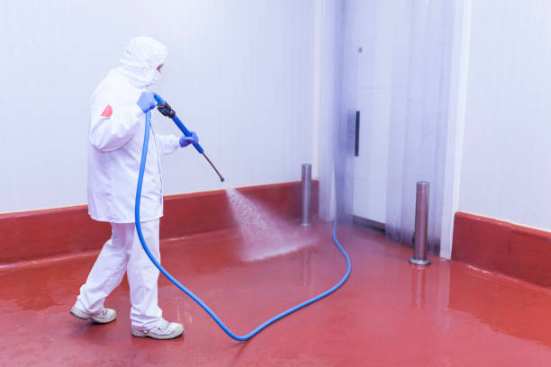 Best Roof Washing  in Wakeman, OH